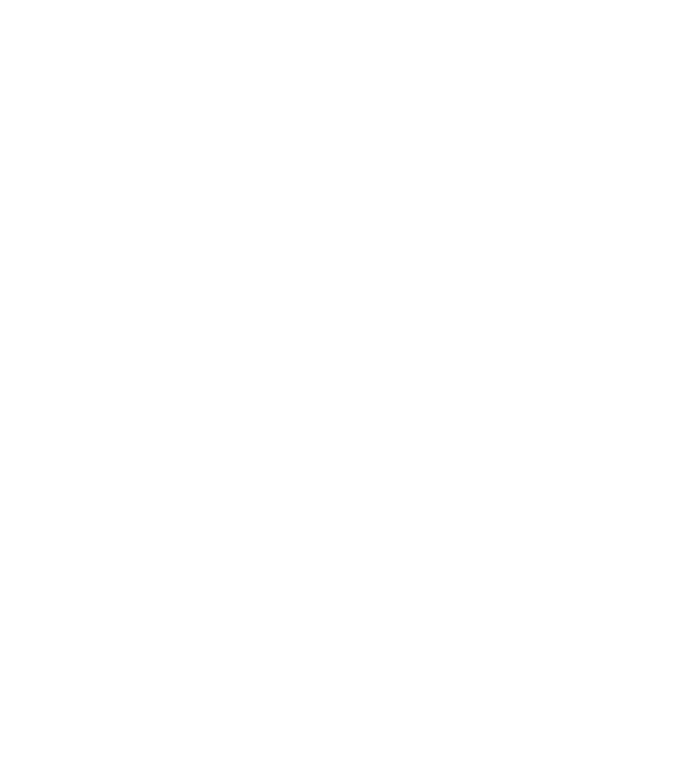 plastic initiative