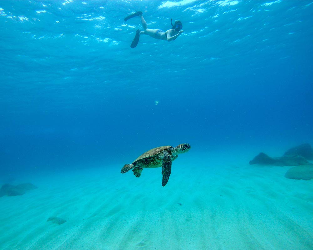 Belize Snorkel Package