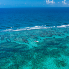 San Pedro Belize Resort | Ambergris Caye - Vacation at SunBreeze Suites