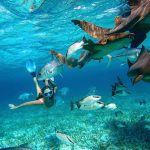 snorkeling in belize